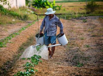 Edomex lanza programa de 25 mil pesos para campesinos en Edomex