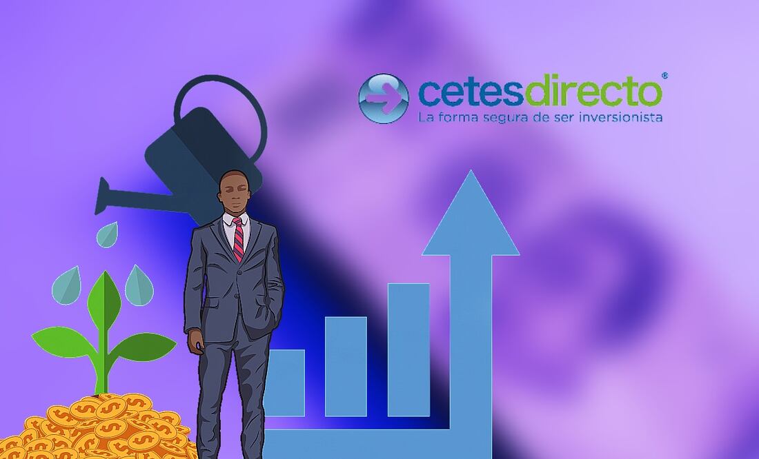 Conoce qué tan seguro es invertir en Cetes para incrementar tu patrimonio. (Foto: DeDinero)