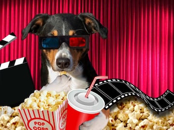 Lista de alimentos permitidos en cines. Profeco aclara información viral de comprar afuera