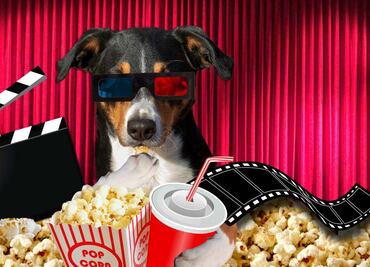 Lista de alimentos permitidos en cines. Profeco aclara información viral de comprar afuera