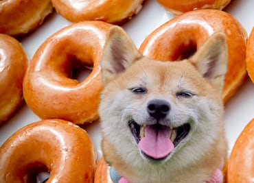 Starbucks y Krispy Kreme darán donas gratis; fecha y único requisito para disfrutar