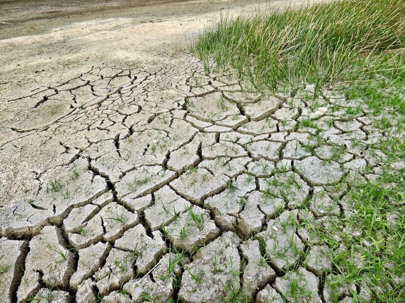 El cambio climático afecta a la agricultua y en consecuencia a la economía. (Foto: Pixabay)