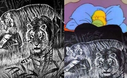 Frentes fríos en México: Cuánto cuesta la legendaria cobija de tigre y dónde comprarla