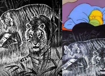 Frentes fríos en México: Cuánto cuesta la legendaria cobija de tigre y dónde comprarla