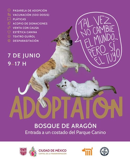 Adoptón 2025. (Foto: X de la SEDEMA)
