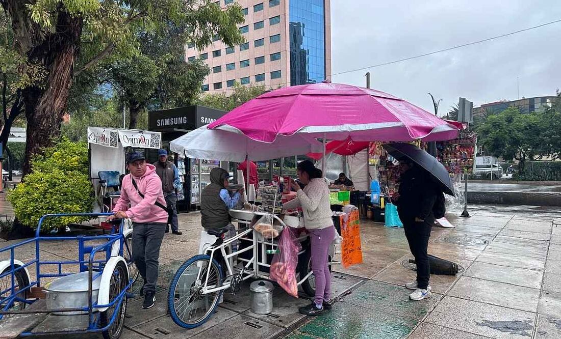 ¿Es legal el comercio informal en CDMX? (Foto: Javier Ramírez)