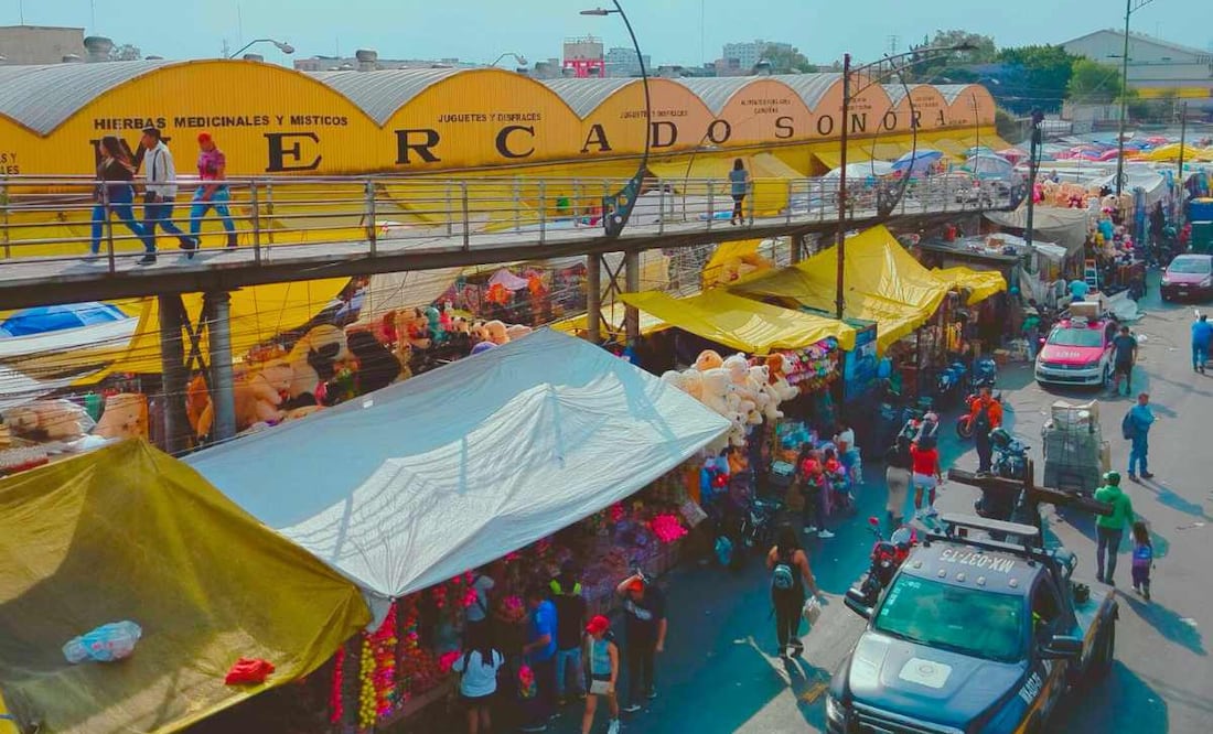 ¿Qué ley prohíbe la venta de animales vivos en la Ciudad de México? (Foto: Cuartoscuro)