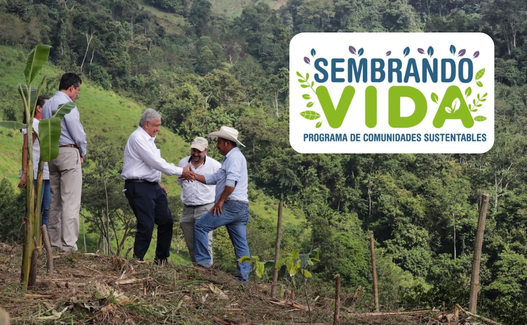 ¿Cómo hacer registro para el programa social Sembrando Vida? (Foto: DeDinero)