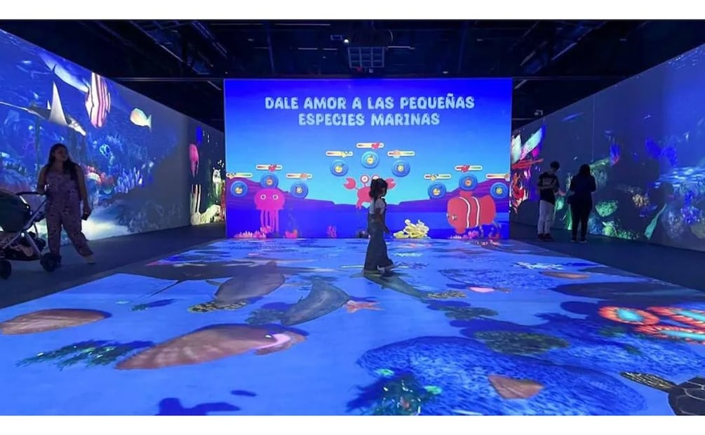 Barco Utopía de la alcaldía Iztapalapa. (Foto: Captura de pantalla)