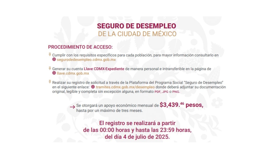 Registro. (Foto: Captura de pantalla)
