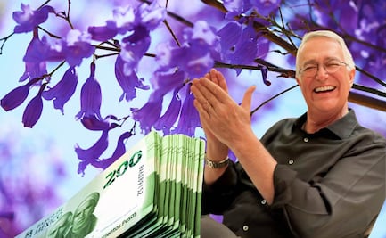 Ricardo Salinas lanza Concurso de Jacarandas 2025; cómo ganar 50 mil pesos con una foto