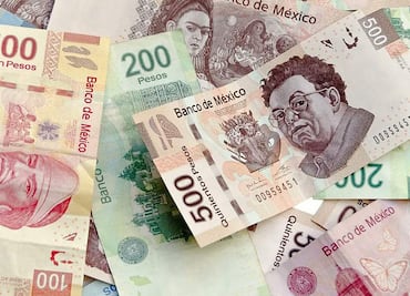 Renta vitalicia vs. retiro programado: la decisión clave para tu pensión en México