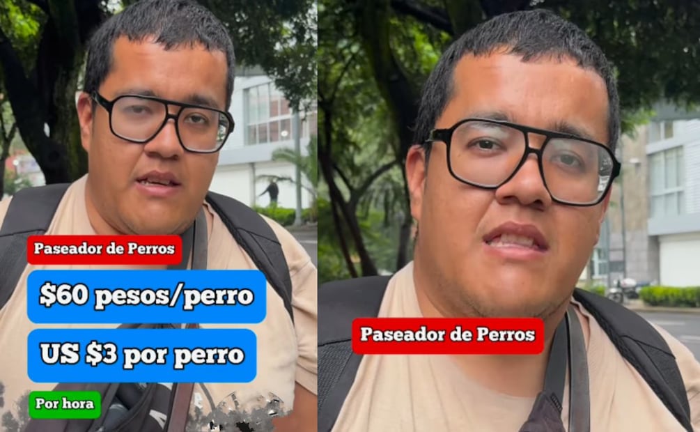 Trabajo sin carrera: pasea perros y gana hasta 60 mil pesos. (Foto: Captura de pantalla)
