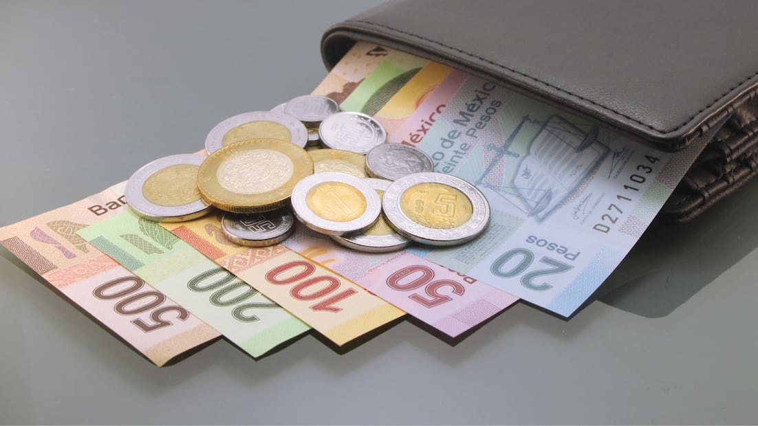 El orden de los billetes en la cartera puede parecer un detalle sin importancia, pero la psicología lo vincula con rasgos de personalidad y disciplina financiera (Foto: Canva)