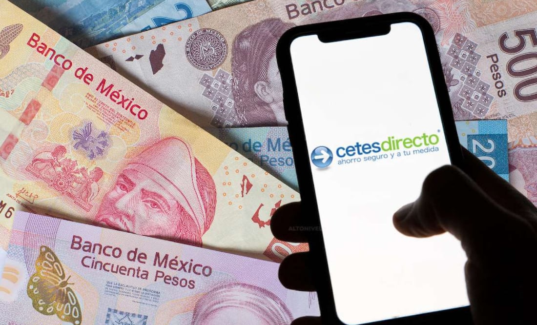¿Qué son los CETES y cómo funcionan? (Foto: DeDinero)
