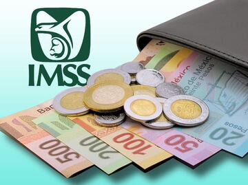 Modalidad 40 vs Modalidad 10 IMSS: Cuotas reales y pensión