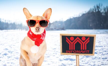 Infonavit congela deudas en México 2024: Checa si calificas aquí y qué pasos seguir 