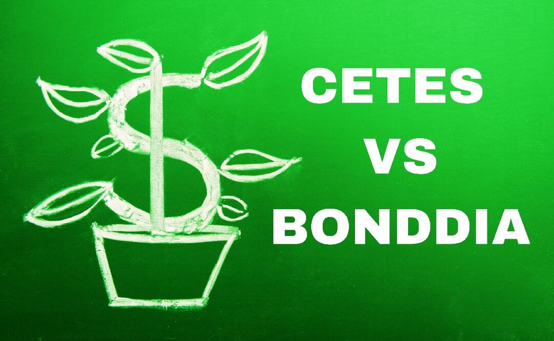 ¿Qué da más rendimiento, Cetes o Bonddia? (Foto: DeDinero)
