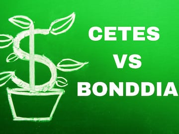Invertir en CETES o BONDDIA 2024: Guía para ganar más dinero todos los días sin letras chiquitas