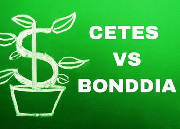 Invertir en CETES o BONDDIA 2024: Guía para ganar más dinero todos los días sin letras chiquitas