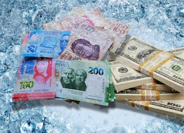 Así puedes congelar el precio del dólar: Mexicanos y extranjeros lo hacen para cuidar riqueza en negocios