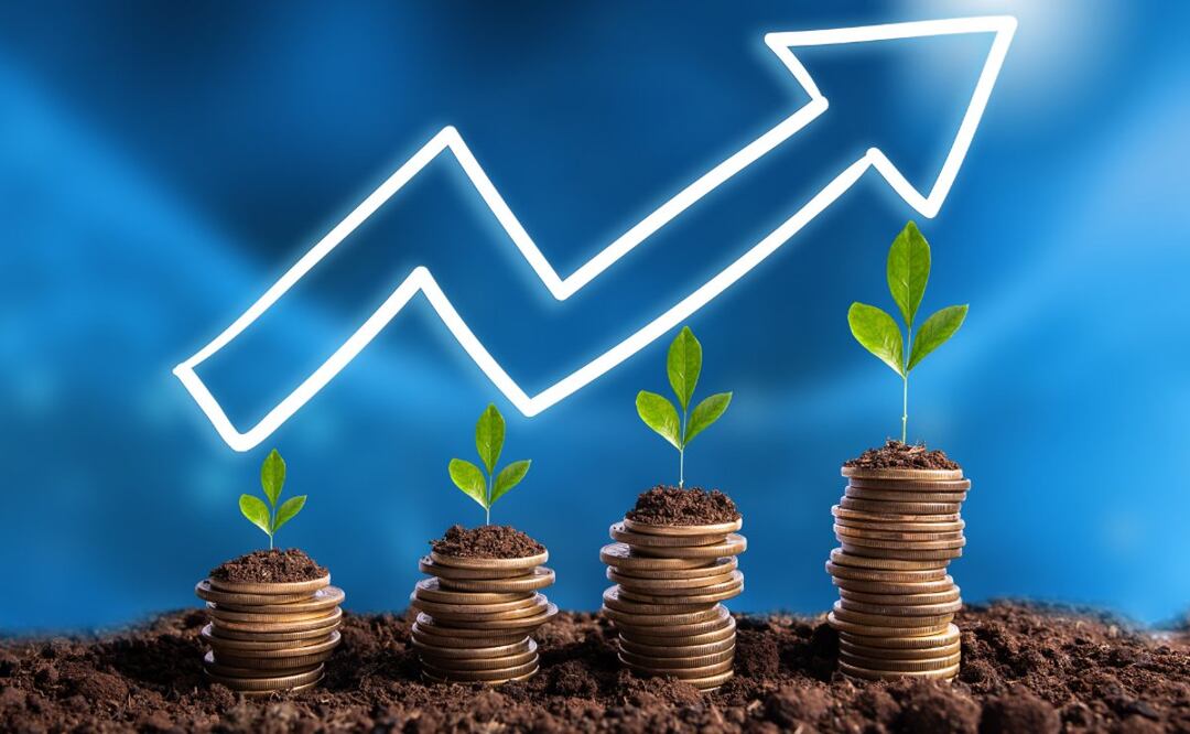 Descubre cómo hacer crecer tu dinero en el 2024 con estos consejos de inversión. (Foto: DeDinero)