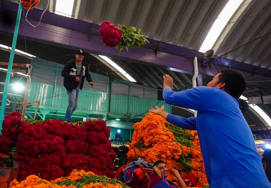 El Mercado de Jamaica, ícono capitalino de flores y tradiciones, celebrará su aniversario con un concierto gratuito abierto a todo el públicos (Foto: Canva)