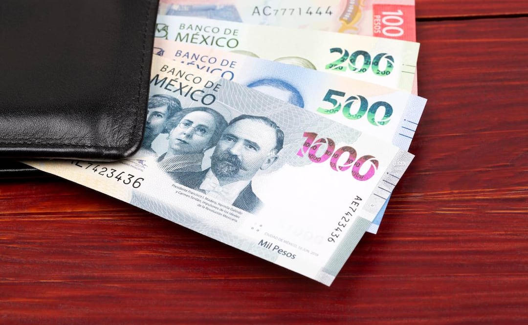 Suprema Corte y devolución del ahorro IMSS: qué significa el caso 677/2025. (Foto: DeDinero)