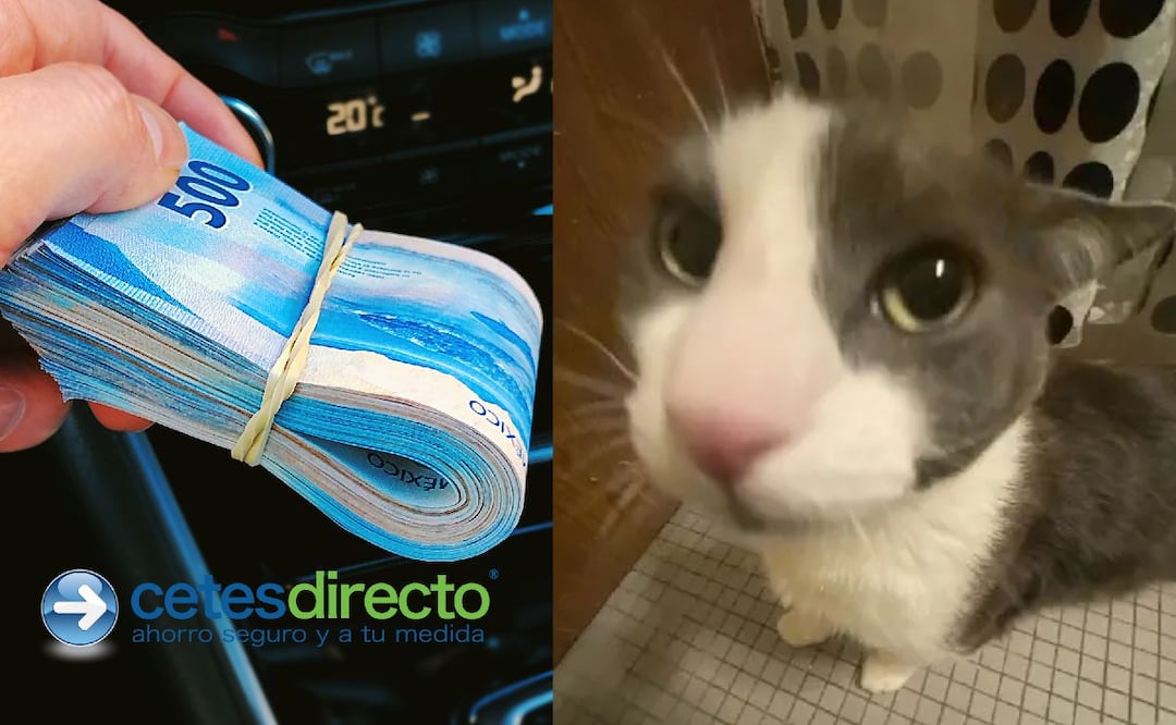 ¿Cuándo se pagan los intereses de Cetes? (Foto: DeDinero)