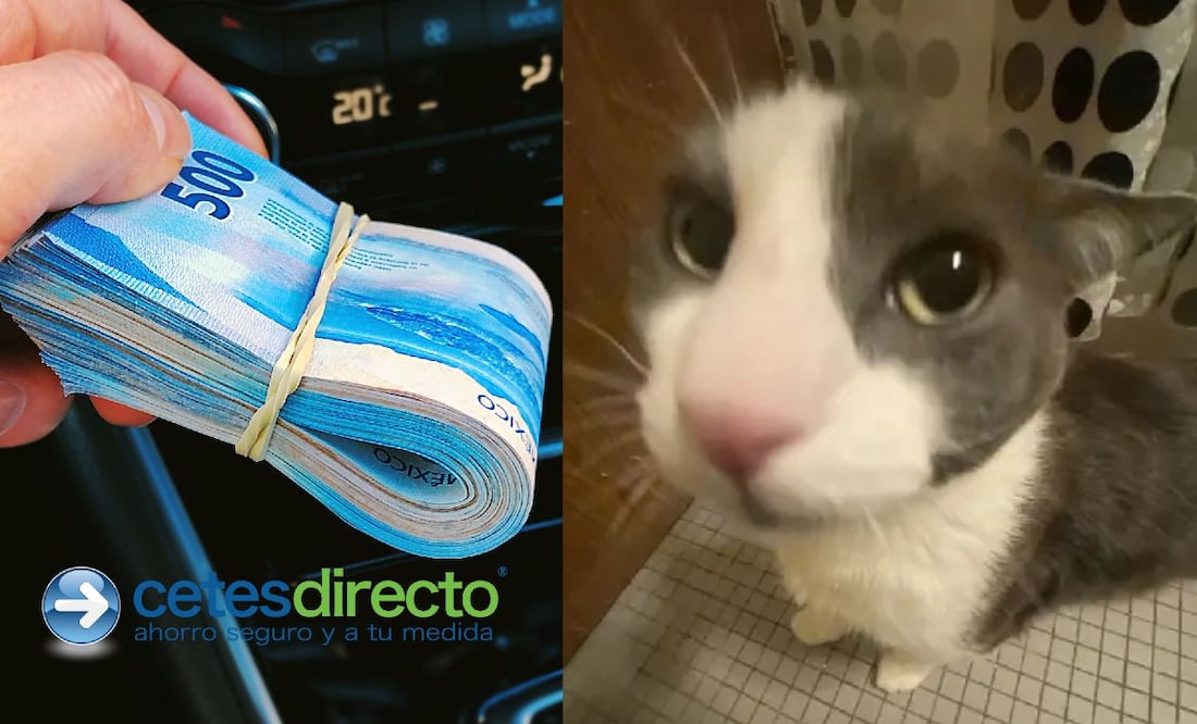 ¿Cuándo se pagan los intereses de Cetes? (Foto: DeDinero)