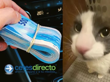 ¿Cuánto tiempo se tarda Cetes en depositar los rendimientos o ganancias de tu inversión?