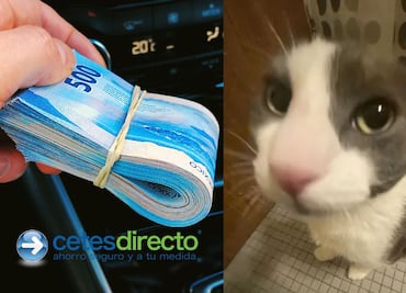 ¿Cuánto tiempo se tarda Cetes en depositar los rendimientos o ganancias de tu inversión?